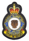 1 Recruit Training Unit badge