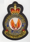 21 (Melbourne) Squadron badge
