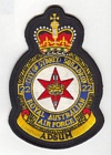 22 (Sydney) Squadron badge