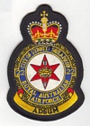 22 (Sydney) Squadron badge