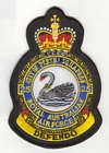 25 (Perth) Squadron badge