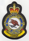 285 Squadron badge