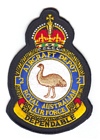 2 Aircraft Depot badge