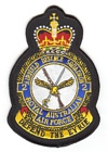 2 Airfield Defence Squadron badge