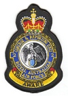 2 Control & Reporting Unit badge