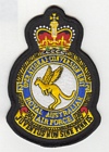 2 Operational Conversion Unit badge
