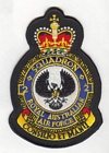 2 Squadron badge