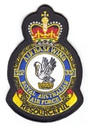 302 Air Base Wing badge