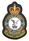 303 Air Base Wing badge