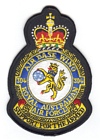 304 Air Base Wing badge