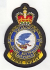 30 Squadron badge