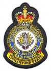 321 Combat Support Squadron badge