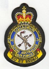 34 Squadron badge