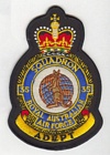 35 Squadron badge