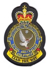 381 Expeditionary Combat Support Squadron badge