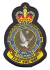 381 Expeditionary Combat Support Squadron badge