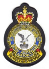 386 Expeditionary Combat Support Squadron badge