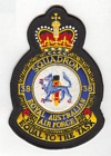 38 Squadron badge