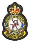 3 Airfield Defence Squadron badge