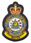 3 Control & Reporting Unit badge