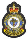 3 Combat Support Hospital badge