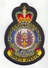 3 Squadron badge