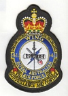 41 Wing badge