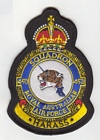 450 Squadron badge