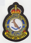 460 Squadron badge