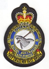 461 Squadron badge