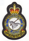 461 Squadron badge