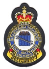 481 Maintenance Squadron badge