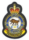 501 Wing badge