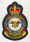 5 Squadron badge