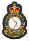 6 Squadron badge