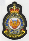 79 Squadron badge