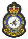 82 Wing badge