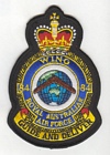 84 Wing badge