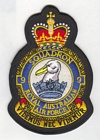 9 Squadron badge