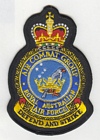 Air Combat Group badge