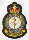 Institute of Aviation Medicine badge