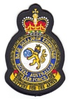 Base Squadron Edinburgh badge