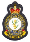 Base Squadron Fairbairn badge