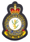 Base Squadron Fairbairn badge