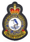 Base Squadron Townsville badge