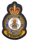 Base Squadron Wagga badge