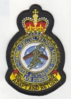Combat Survival Training School badge