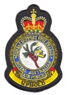 Combat Support Unit Pearce badge