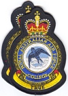 RAAF Academy / College badge