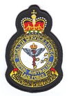 Health Services Wing badge